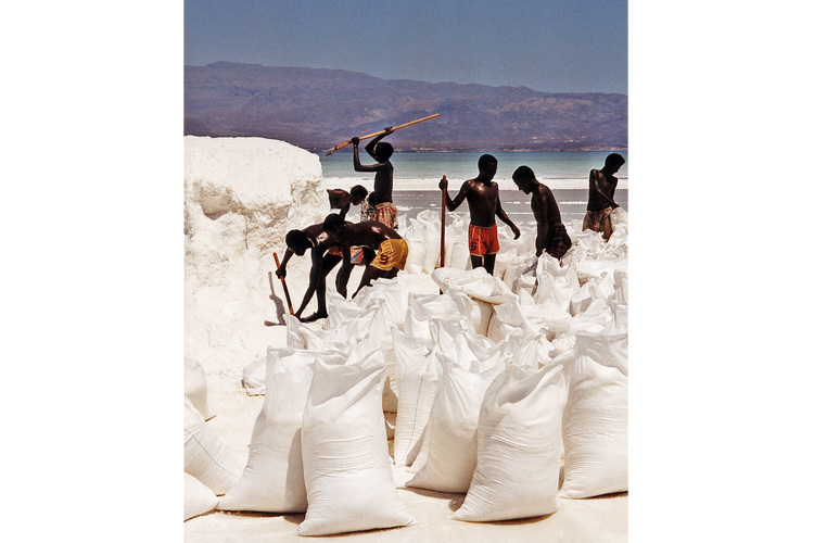 Djibouti, récolte du sel sur le lac Assal