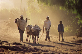 Album photo Ethiopie