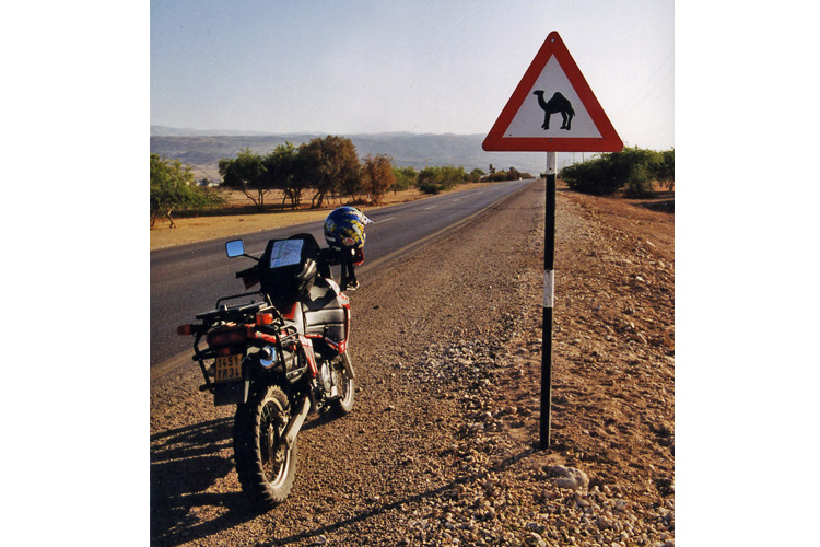 Jordanie, attention, traversée de chameaux, panneau sur la route de la mer morte