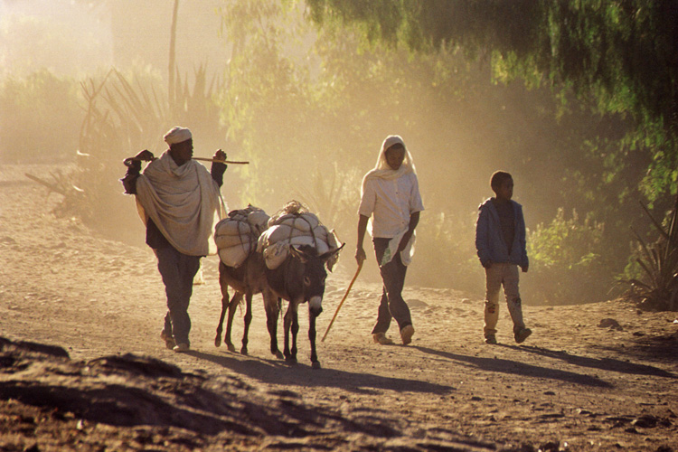 Ethiopie, Lalibela, départ pour le marché
