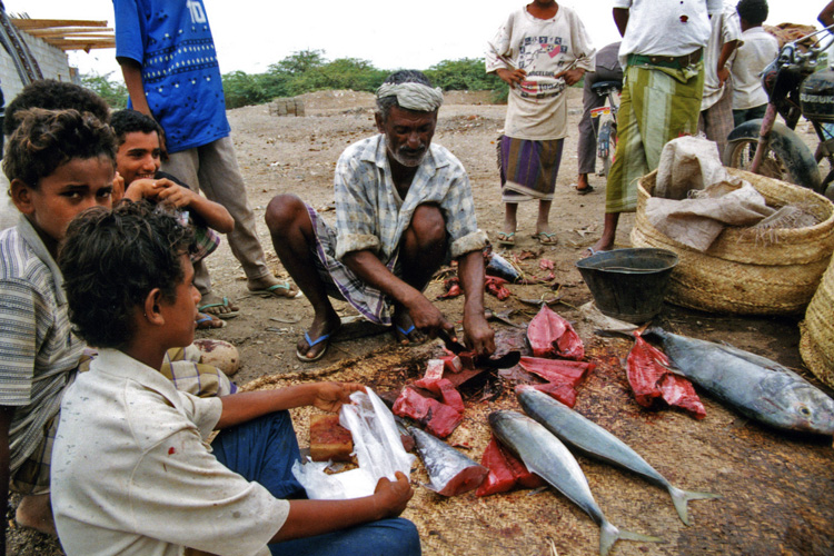 Yémen, le marché aux poissons d’Al Khawkha