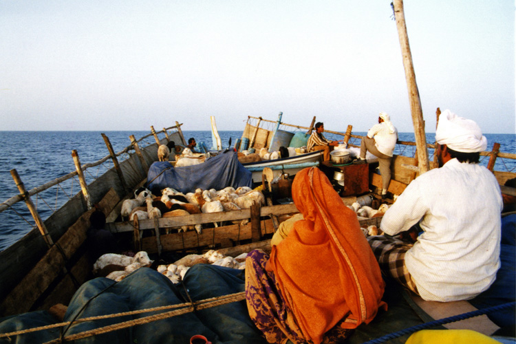 Yémen, traversée en boutre de Djibouti à Al Mukha
