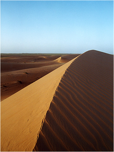 First sand dunes