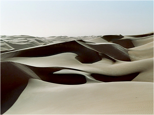 Dunes landscapes in the morning
