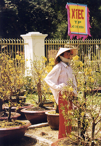 Marché aux plantes, Hô Chi Minh city