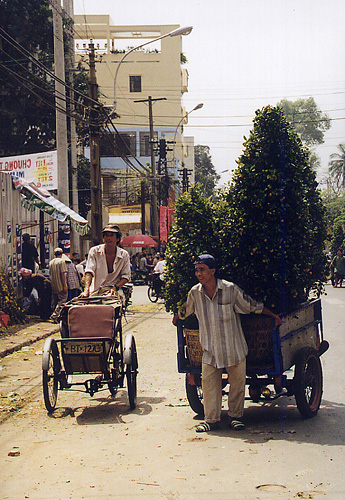 March&eacute; aux plantes, H&ocirc; Chi Minh city