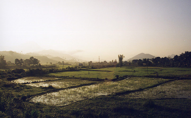 Paysage de rizi&egrave;res
