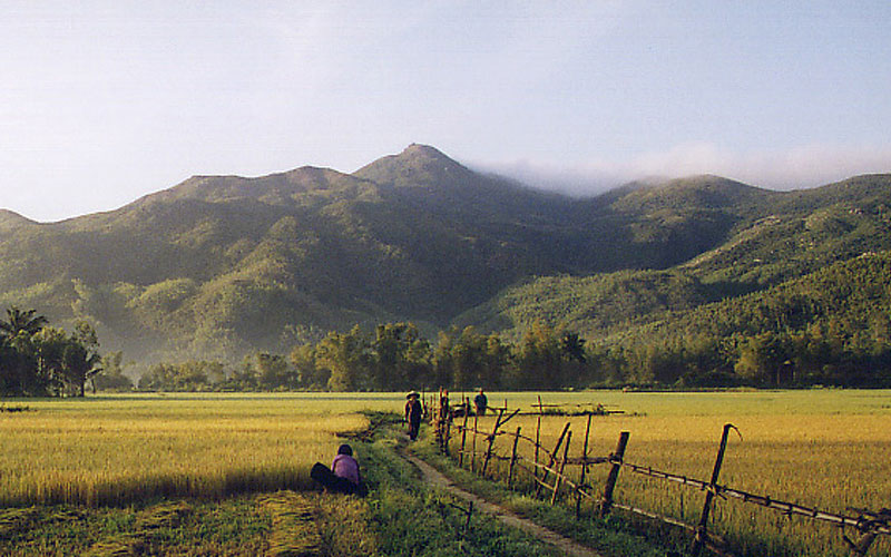 Vietnam, rizières près de Nha Trang