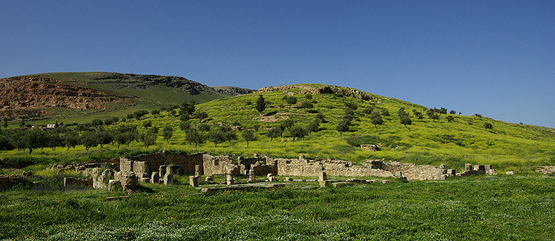 Le site archéologique de Bulla Reggia - Tunisie 2009