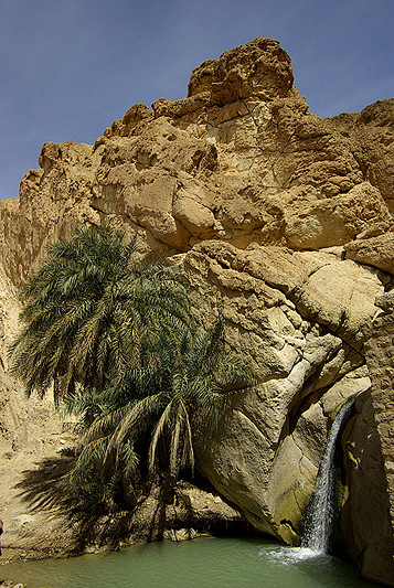 Cascade près de la source de l'oasis de montagne de Chebika - Tunisie 2009