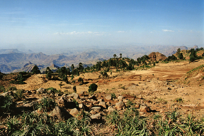 Premiers paysages d'Ethiopie, février 2000