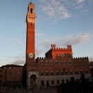 La torre del mangia et le Palazzo pubblico, Sienne, Italie - 2013