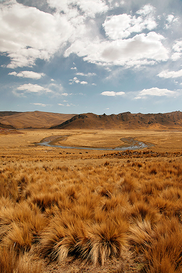 Paysage de l'altiplano, Pérou - 2014
