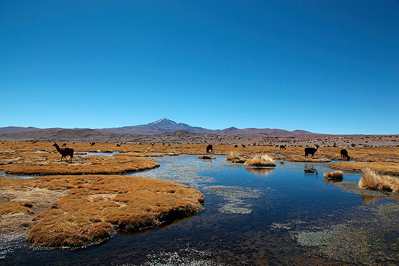 Paysage de lagunes, Sud Lipez, Bolivie - 2014