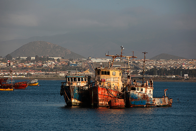 Bateaux de pêche au mouillage, port de Coquimbo, Chili - 2014