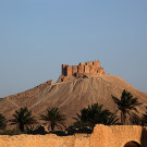 Le château arabe (Qala'at ibn Maan) qui domine le site de Palmyre, Syrie, 2010