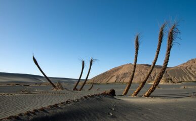Oasis morte, volcan Namous, sahara Libyen