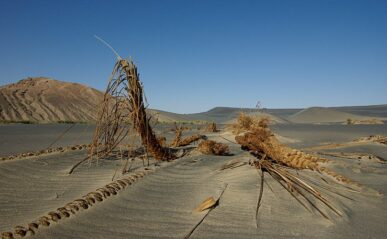 Oasis morte, volcan Namous, Libye
