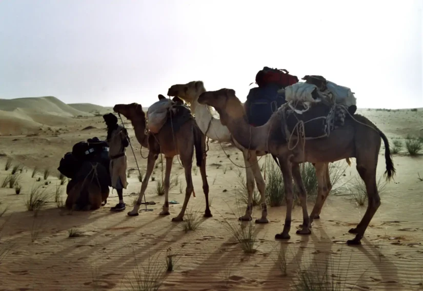 Arrêt pour le bivouac, sous un soleil obscurci par le vent de sable