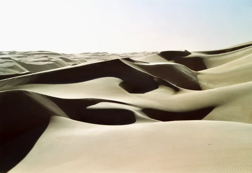 Dunes sous la lumière crue du matin