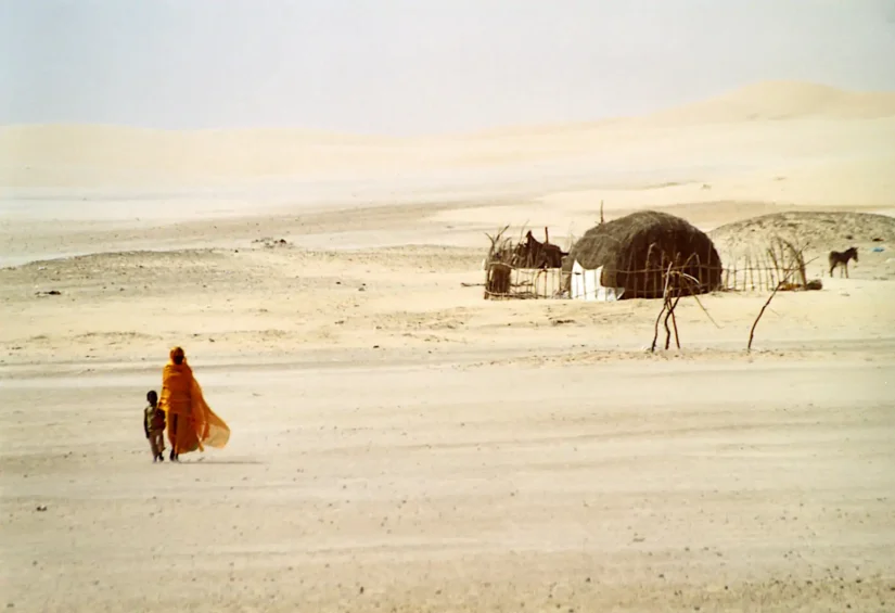En approchant de l'oasis de la Gueila