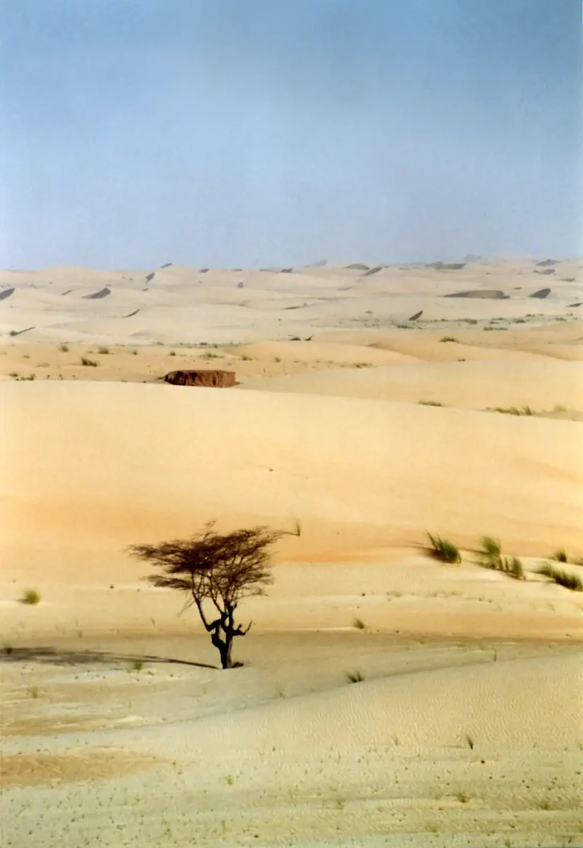 Paysages infinis battus par les vents de sable