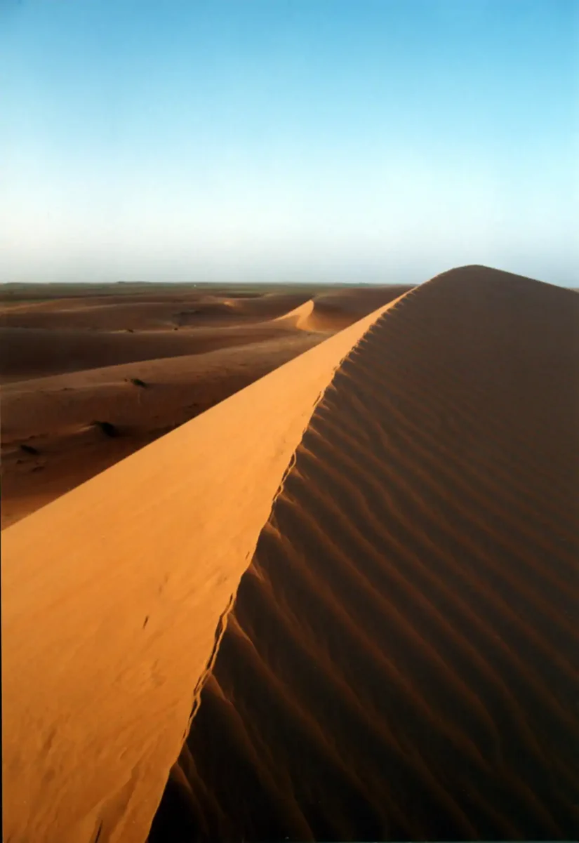 Premiers cordons de dunes