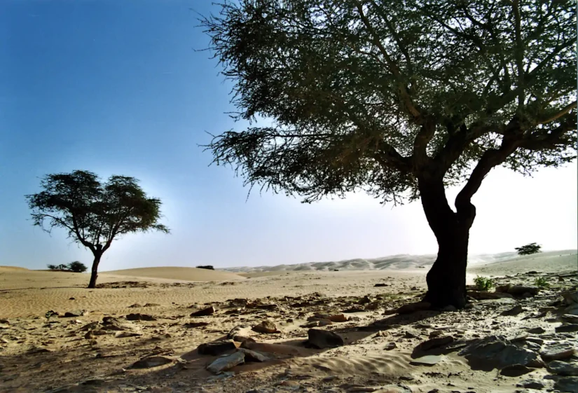 Chinguetti, autour de l'erg Ouarane